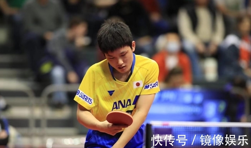 排球联赛 排球联赛